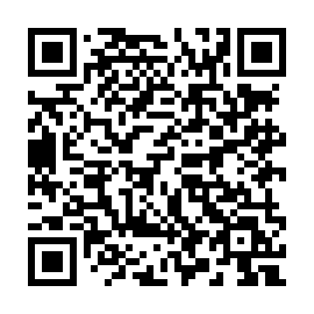 QR code for 299 LML