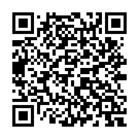 QR code for 299 VVL
