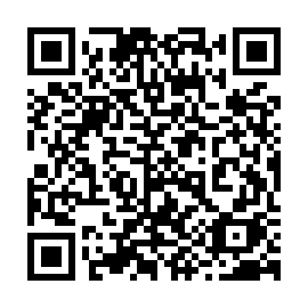 QR code for 299MWH