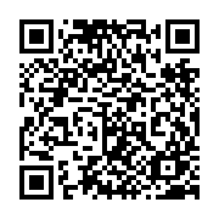 QR code for plate 299 NIW
