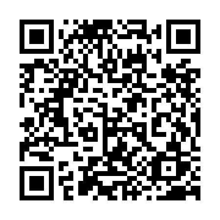 QR code for plate 299 OCR