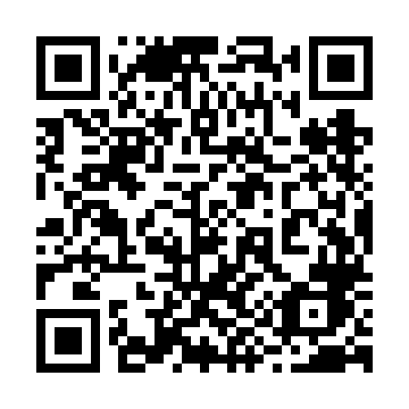 QR code for plate 299 VLB
