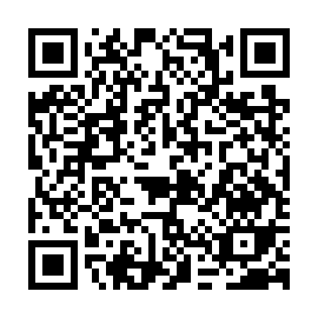 QR code for 2D2GS