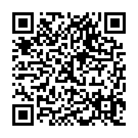 QR code for 2D2QP