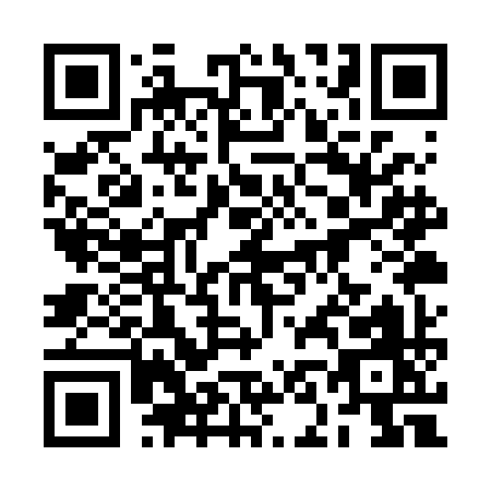 QR code for 2N1RI