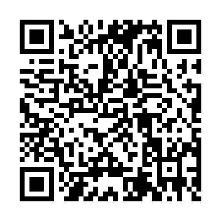 QR code for 2N4SI