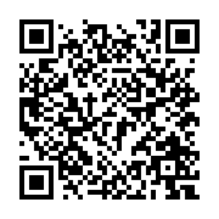 QR code for 2O8AP