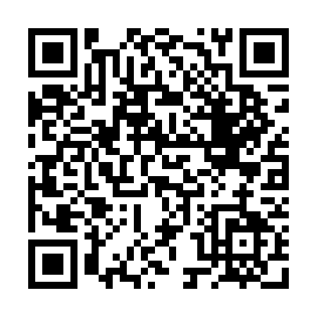 QR code for 2P2DG