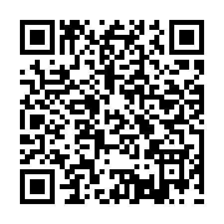 QR code for 2Q2PS