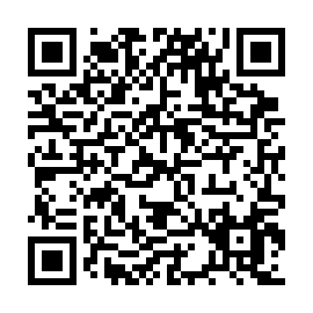 QR code for 2Q4CA