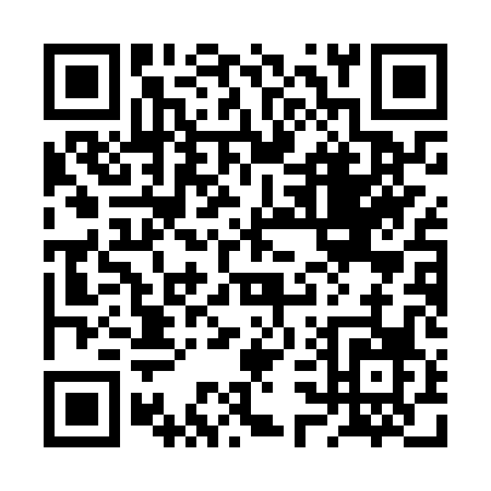 QR code for 2S1NP