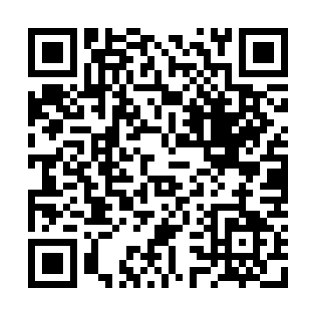 QR code for 2S4SG