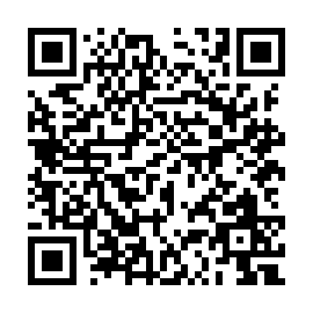 QR code for 2S8IC