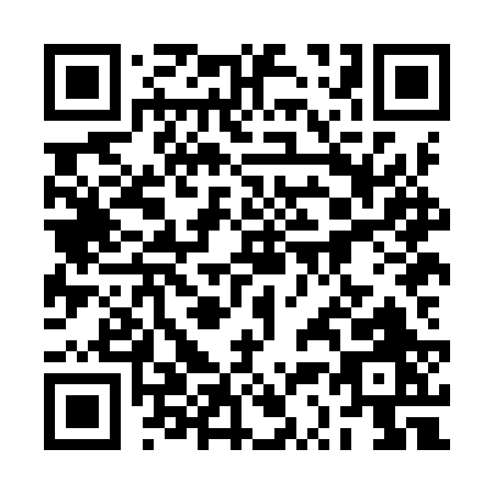 QR code for 2S8IR