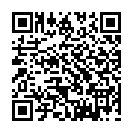 QR code for 2V1SA