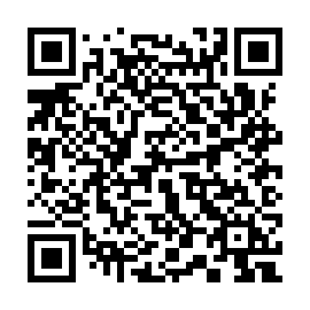 QR code for 300 IZH
