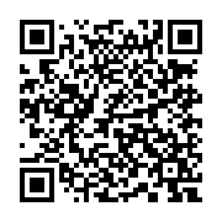 QR code for plate 300 LMW