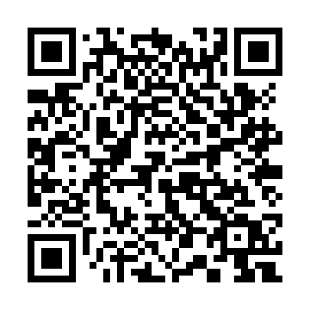 QR code for plate 300 ZCT