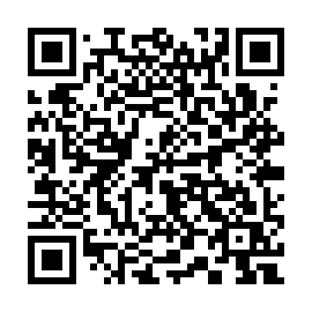 QR code for plate 301 QYS