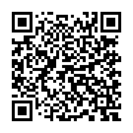 QR code for plate 304 LMZ