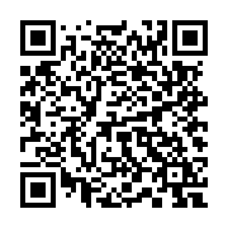 QR code for plate 304 MSY
