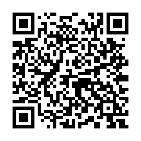 QR code for 305 PZJ