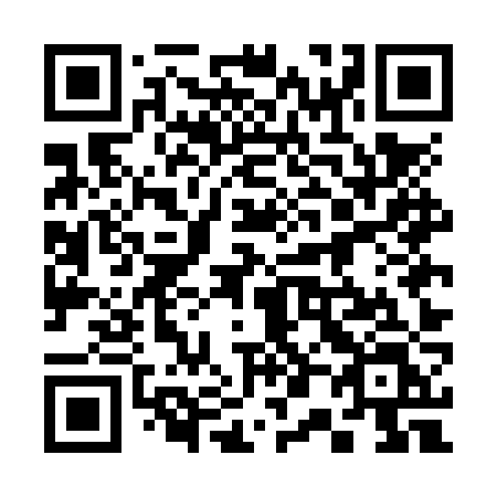 QR code for plate 305 NZL