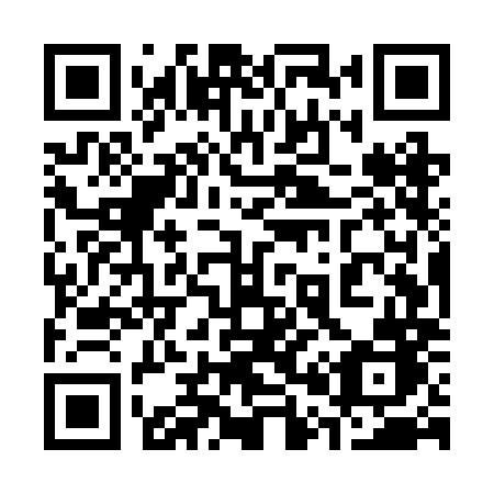 QR code for plate 305 RMB