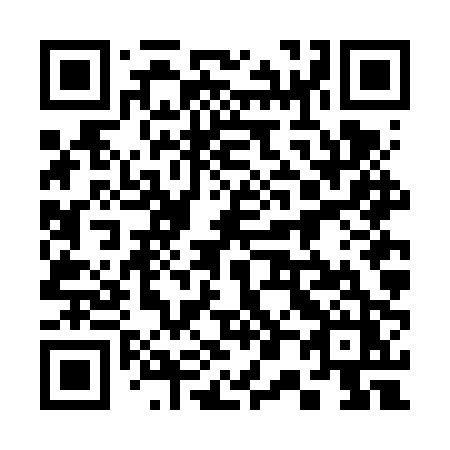 QR code for plate 306 FPZ