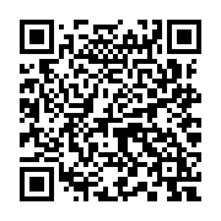 QR code for plate 306 IBZ