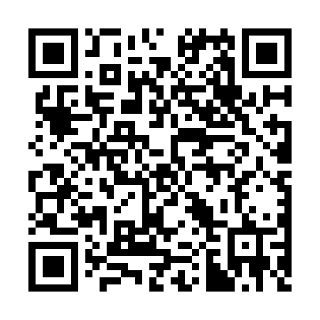 QR code for plate 307 KGR