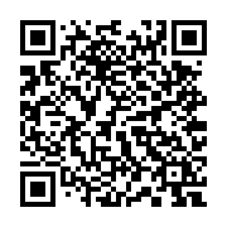 QR code for plate 307 TZX