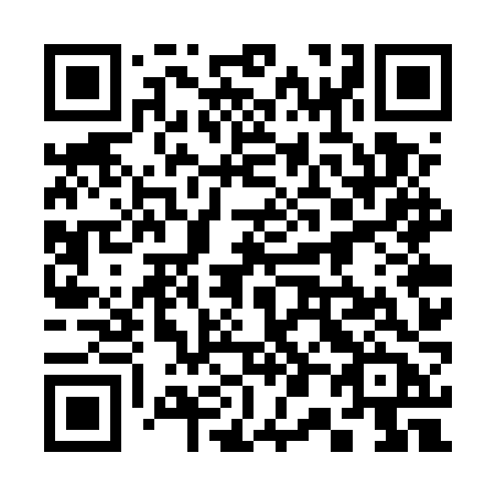 QR code for plate 307 UZB
