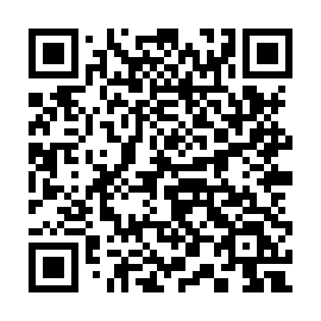 QR code for plate 308 XTL