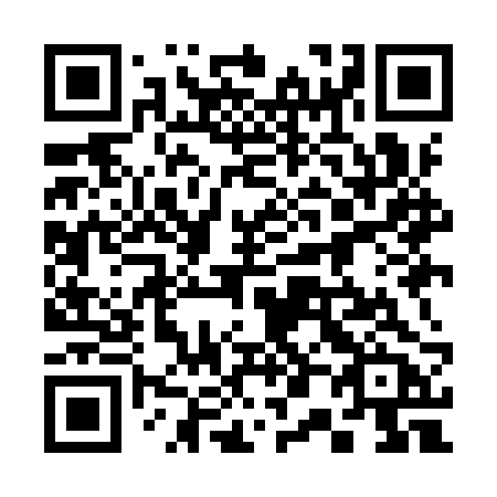 QR code for plate 309 IRB