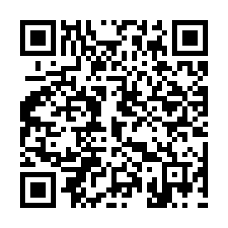 QR code for plate 310 CHV
