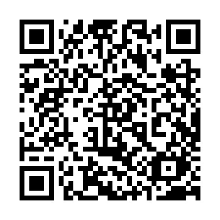 QR code for plate 310 SZM