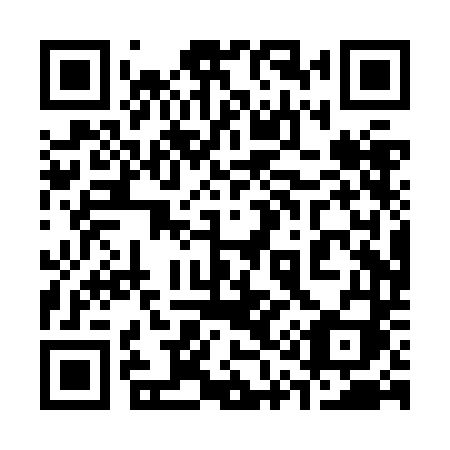 QR code for 310ZDI
