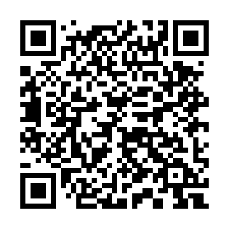 QR code for 311 DYD
