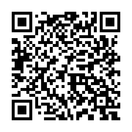 QR code for 311 IPN