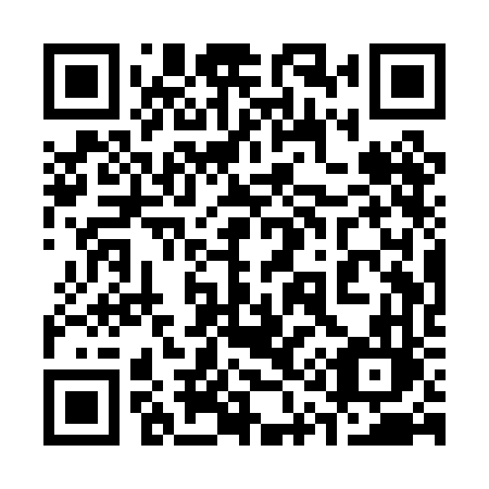 QR code for 311 PFL