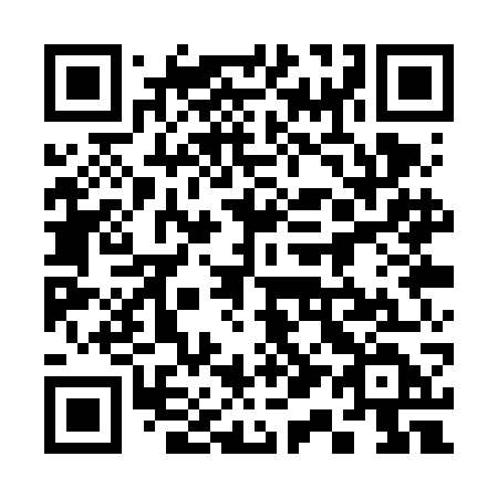 QR code for 311 VGD