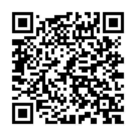 QR code for 311 ZKT