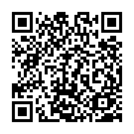QR code for 311ENU