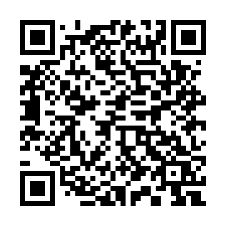 QR code for plate 311 EZS