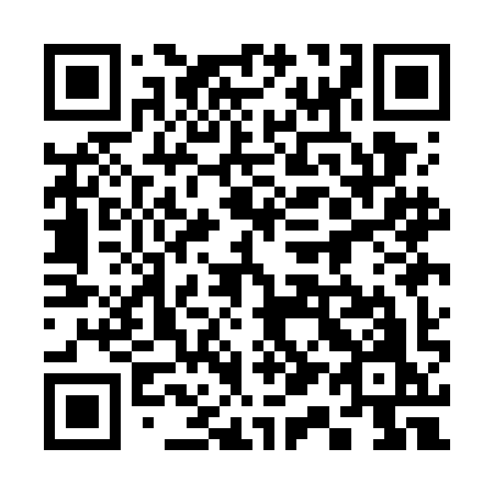 QR code for plate 311 GIO