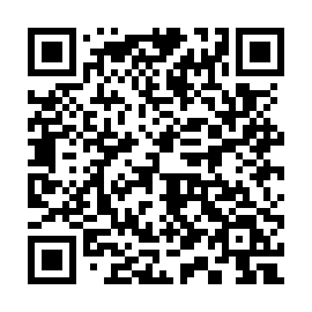 QR code for 311OPL