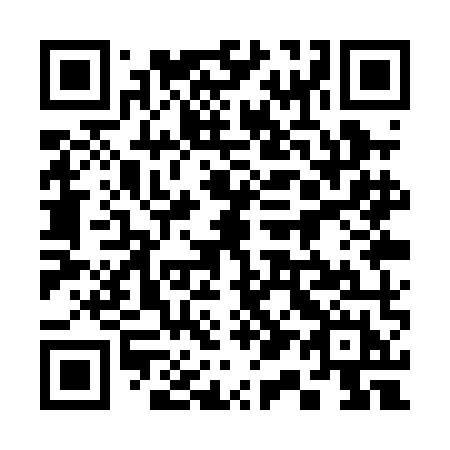 QR code for plate 311 PMH