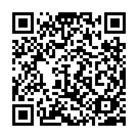 QR code for plate 311 SAM