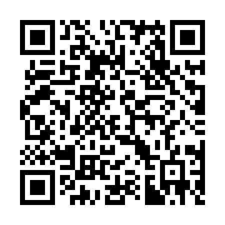 QR code for 311XYG